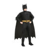 Dlx. Batman Costume