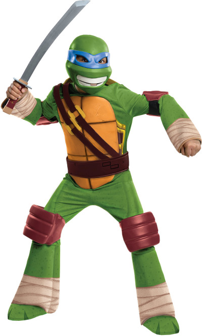 Leonardo one of the Ninja Turtles