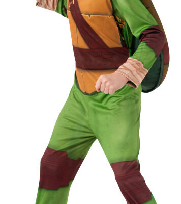 Leonardo one of the Ninja Turtle