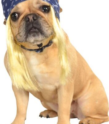A Dog wearing Bandana with Hair