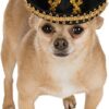 a dog wearing a sombrero