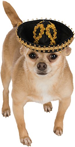 a dog wearing a sombrero