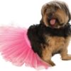 Silky Terrier wearing Pink Tutu