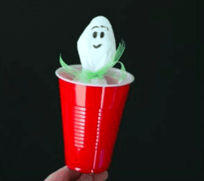 Basic kitchen supplies and a magic marker transform into this easy-to-make peekaboo ghost craft that will delight little kids with hours of pop-up action. Who needs Halloween candy when there's this to play with?