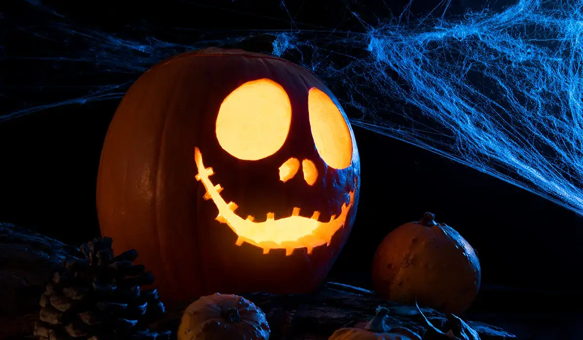 Create Spooky Halloween Window Decorations That Impress